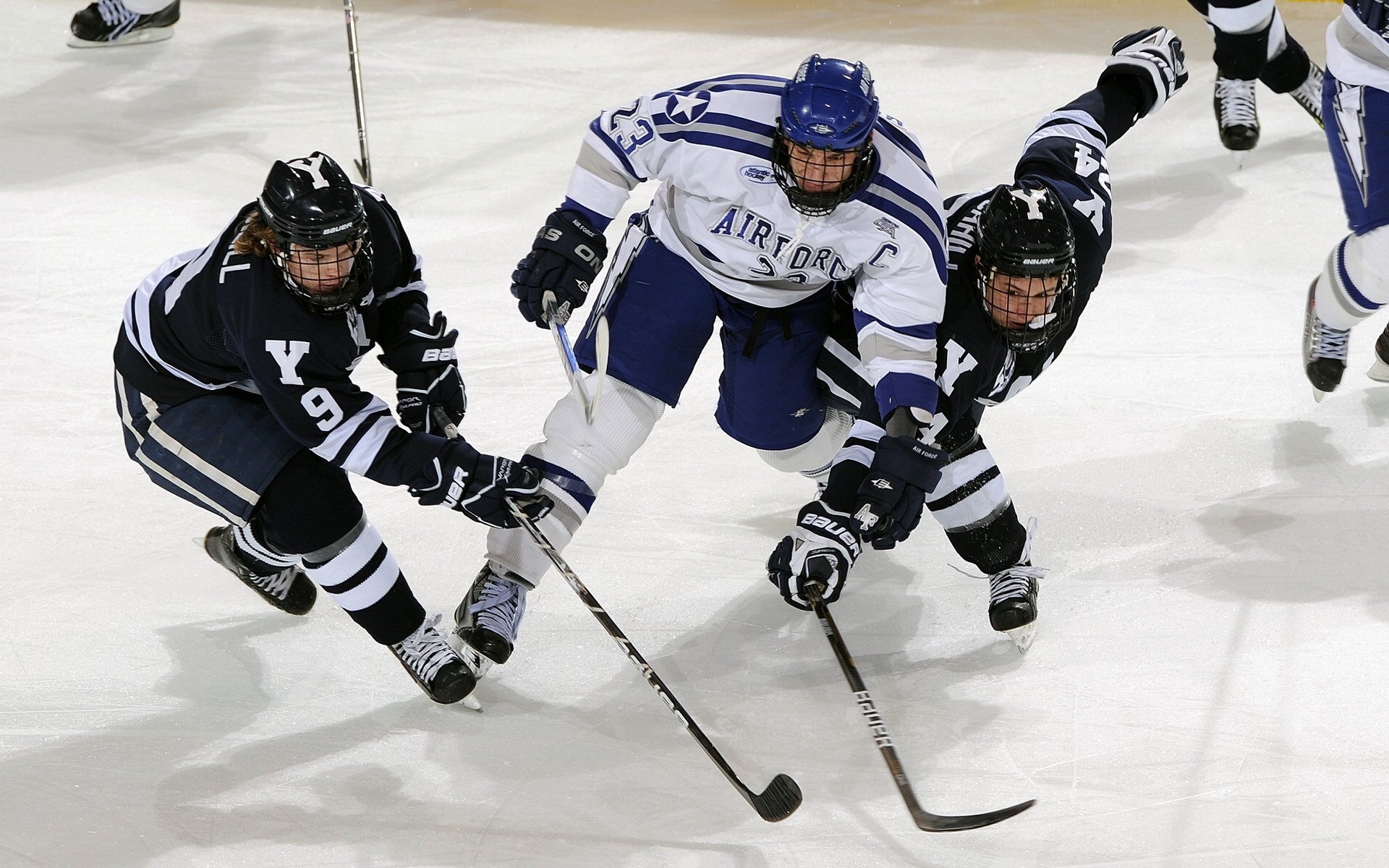  威尔逊旋回的六个阶段 